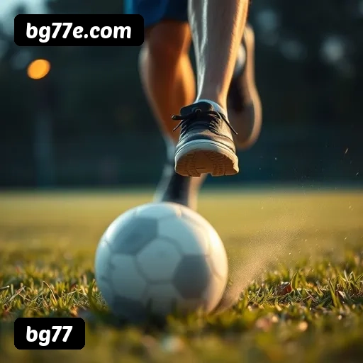 Suporte 24 horas bg77